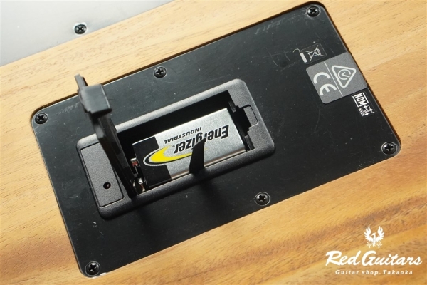 Acoustasonic Player Telecaster - Arctic White